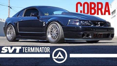 国产福特猎马测评视频大全,全方位解析性能与品质