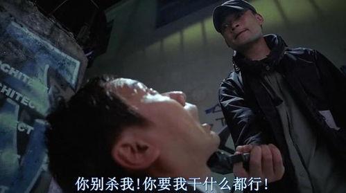 搞笑电影国产富婆视频,国产喜剧电影中的财富狂欢