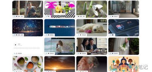 国产感人短视频素材下载,温情瞬间，触动心灵