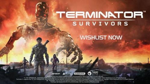 国产终结者视频,未来战士的钢铁传奇