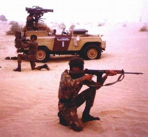 国产步枪连发视频