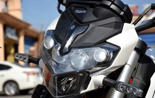 国产小暴龙介绍视频大全,盘点热门介绍视频，揭秘萌宠魅力