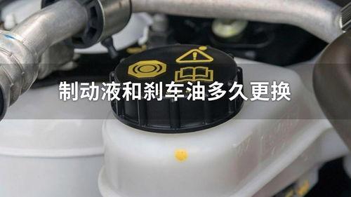 国产刹车油实测视频大全