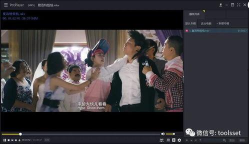 水莓国产视频下载,轻松获取精彩瞬间