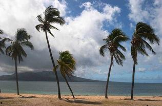 香蕉湾视频 国产,香蕉湾视频引领国产短视频新潮流