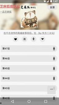 多多猫国产视频插件,创新娱乐体验新篇章