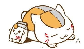 猫咪视频国产精品,国产猫咪视频精品赏析